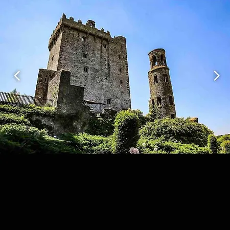 Penthouse Cork Lejlighed